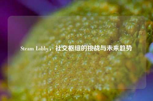 Steam Lobby,社交枢纽的挑战与未来趋势