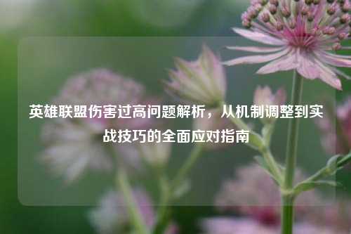 英雄联盟伤害过高问题解析,从机制调整到实战技巧的全面应对指南