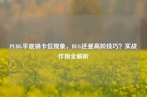 PUBG平底锅卡位现象,BUG还是高阶技巧?实战作用全解析