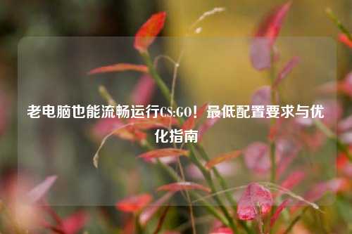 老电脑也能流畅运行CS:GO！最低配置要求与优化指南