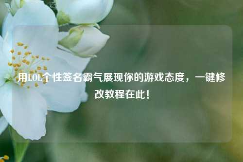 用LOL个性签名霸气展现你的游戏态度,一键修改教程在此!