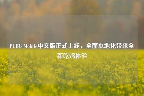 PUBG Mobile中文版正式上线，全面本地化带来全新吃鸡体验