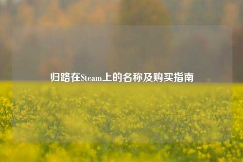 归路在Steam上的名称及购买指南