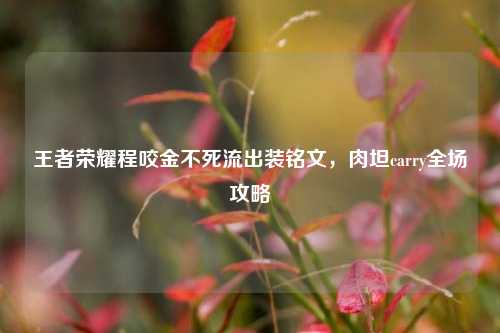 王者荣耀程咬金不死流出装铭文，肉坦carry全场攻略