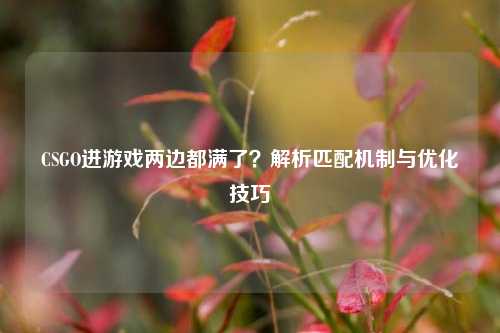 CSGO进游戏两边都满了？解析匹配机制与优化技巧