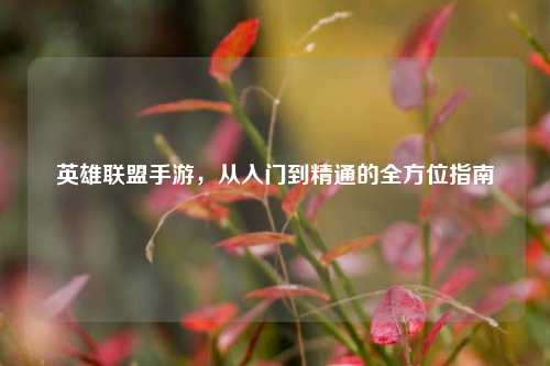 英雄联盟手游,从入门到精通的全方位指南