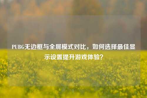 PUBG无边框与全屏模式对比，如何选择最佳显示设置提升游戏体验？