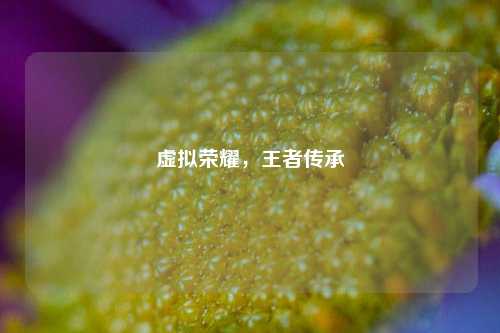 虚拟荣耀，王者传承