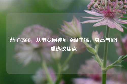 茄子CSGO,从电竞厨神到顶级主播,身高与DPI成热议焦点