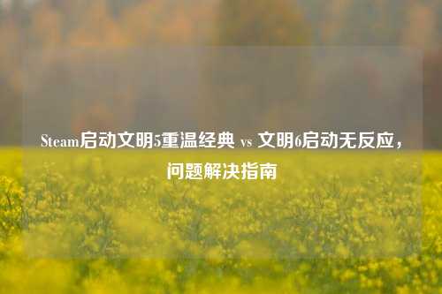 Steam启动文明5重温经典 vs 文明6启动无反应，问题解决指南