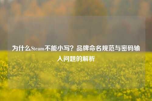 为什么Steam不能小写？品牌命名规范与密码输入问题的解析