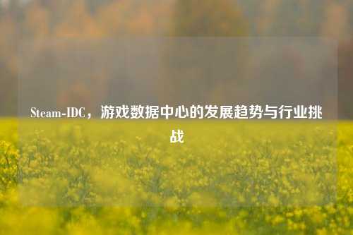 Steam-IDC,游戏数据中心的发展趋势与行业挑战