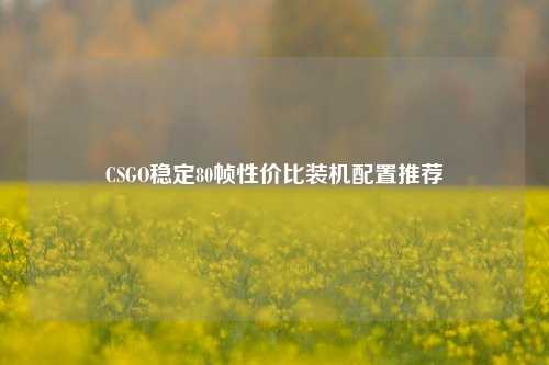 CSGO稳定80帧性价比装机配置推荐