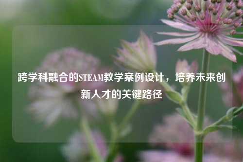 跨学科融合的STEAM教学案例设计，培养未来创新人才的关键路径