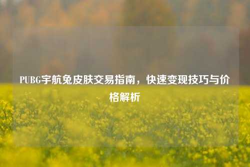 PUBG宇航兔皮肤交易指南，快速变现技巧与价格解析