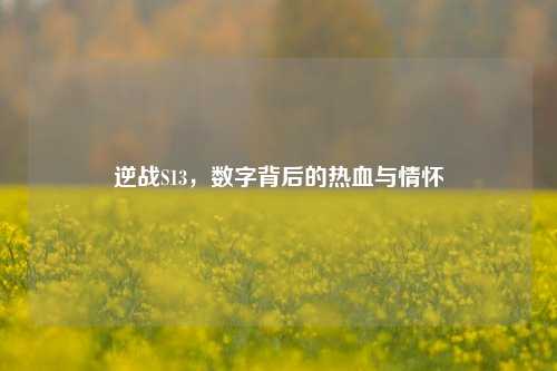 逆战S13，数字背后的热血与情怀