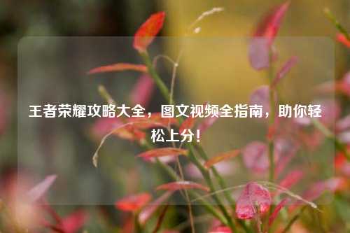 王者荣耀攻略大全，图文视频全指南，助你轻松上分！