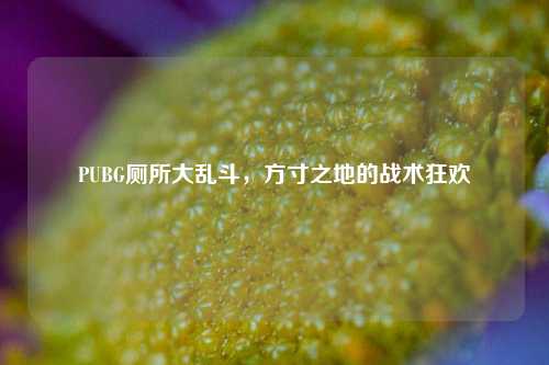 PUBG厕所大乱斗,方寸之地的战术狂欢