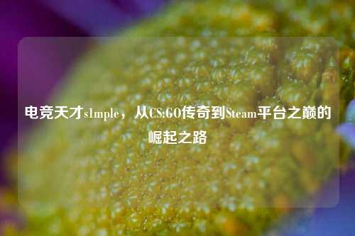 电竞天才s1mple，从CS:GO传奇到Steam平台之巅的崛起之路
