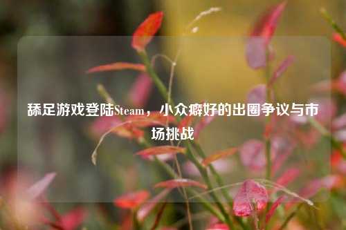 舔足游戏登陆Steam,小众癖好的出圈争议与市场挑战