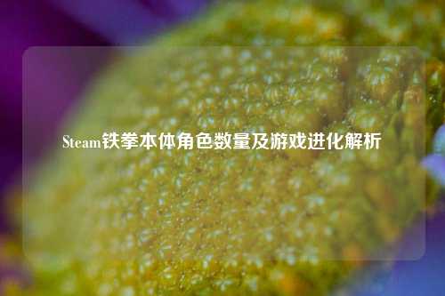 Steam铁拳本体角色数量及游戏进化解析