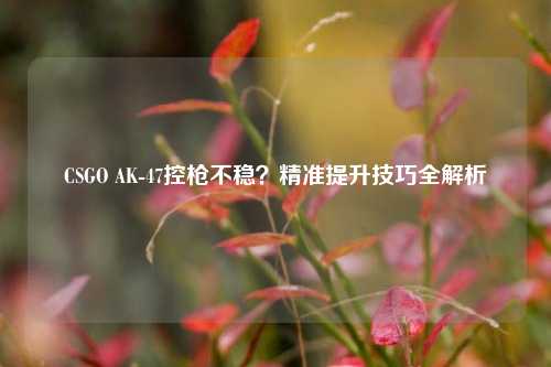 CSGO AK-47控枪不稳？精准提升技巧全解析