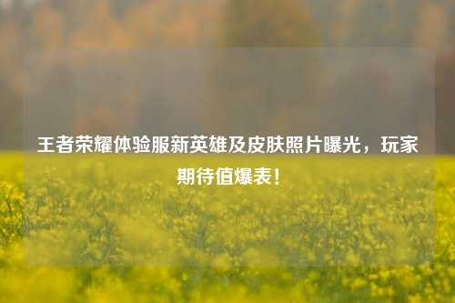 王者荣耀体验服新英雄及皮肤照片曝光，玩家期待值爆表！