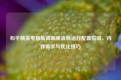 和平精英电脑版高画质流畅运行配置指南，内存需求与优化技巧