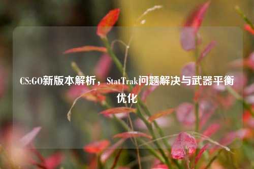 CS:GO新版本解析,StatTrak问题解决与武器平衡优化