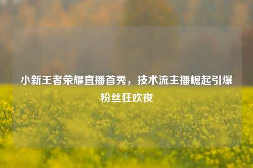 小新王者荣耀直播首秀，技术流主播崛起引爆粉丝狂欢夜