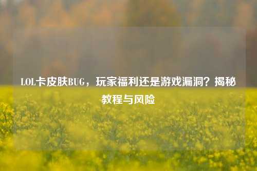 LOL卡皮肤BUG,玩家福利还是游戏漏洞?揭秘教程与风险
