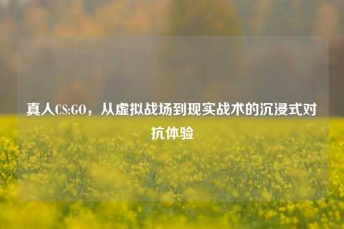 真人CS:GO,从虚拟战场到现实战术的沉浸式对抗体验