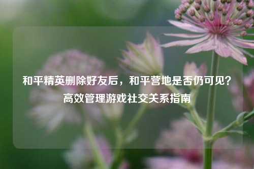 和平精英删除好友后,和平营地是否仍可见?高效管理游戏社交关系指南