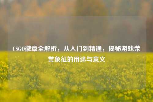 CSGO徽章全解析,从入门到精通,揭秘游戏荣誉象征的用途与意义