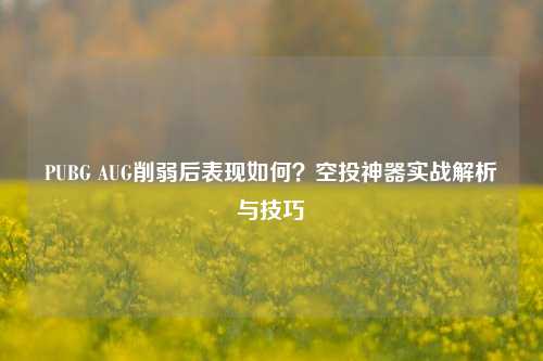PUBG AUG削弱后表现如何?空投神器实战解析与技巧