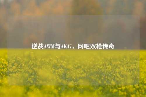 逆战AWM与AK47,网吧双枪传奇