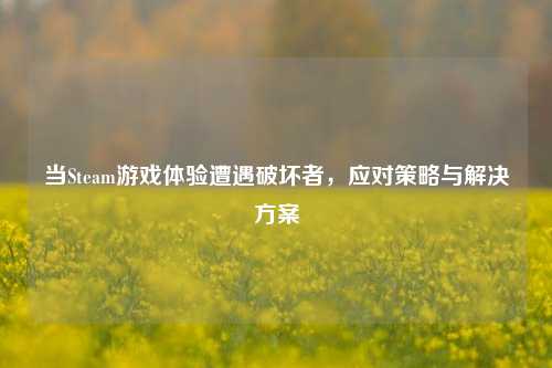 当Steam游戏体验遭遇破坏者，应对策略与解决方案