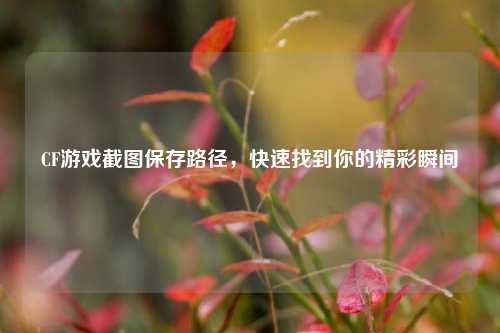 CF游戏截图保存路径，快速找到你的精彩瞬间