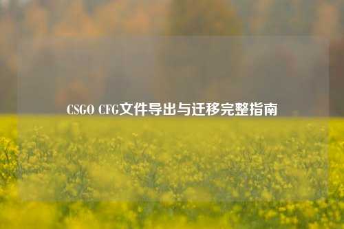 CSGO CFG文件导出与迁移完整指南