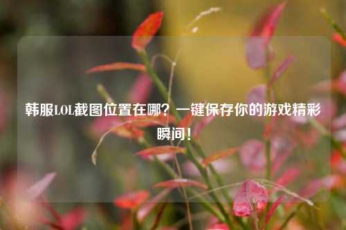 韩服LOL截图位置在哪？一键保存你的游戏精彩瞬间！