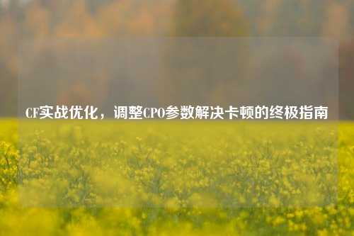 CF实战优化,调整CPO参数解决卡顿的终极指南