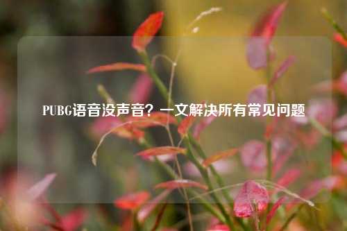 PUBG语音没声音?一文解决所有常见问题