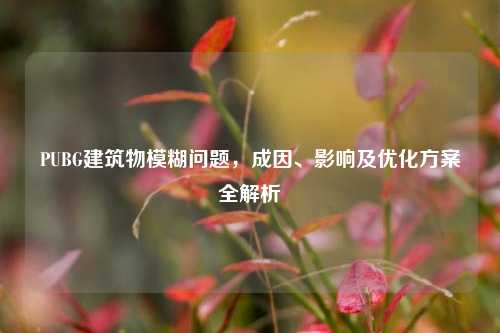 PUBG建筑物模糊问题,成因、影响及优化方案全解析