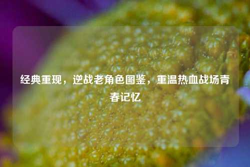 经典重现，逆战老角色图鉴，重温热血战场青春记忆