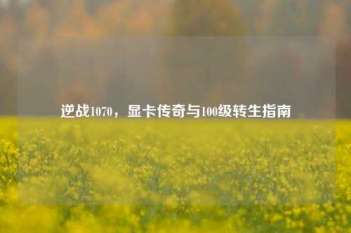 逆战1070,显卡传奇与100级转生指南