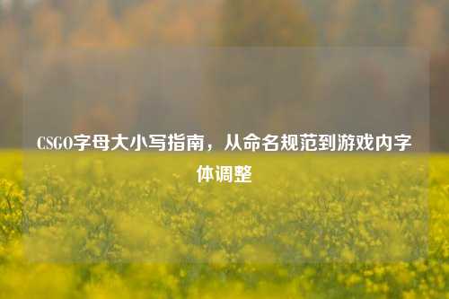 CSGO字母大小写指南，从命名规范到游戏内字体调整