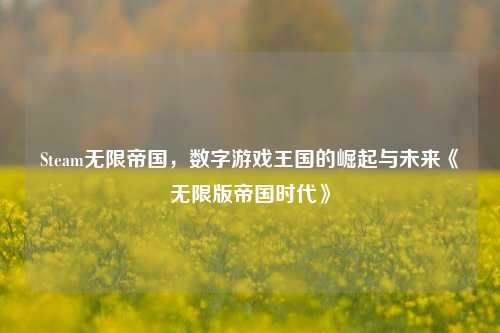 Steam无限帝国,数字游戏王国的崛起与未来《无限版帝国时代》