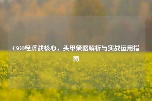 CSGO经济战核心,头甲策略解析与实战运用指南