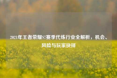 2021年王者荣耀S7赛季代练行业全解析，机会、风险与玩家抉择