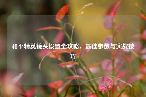 和平精英镜头设置全攻略,最佳参数与实战技巧